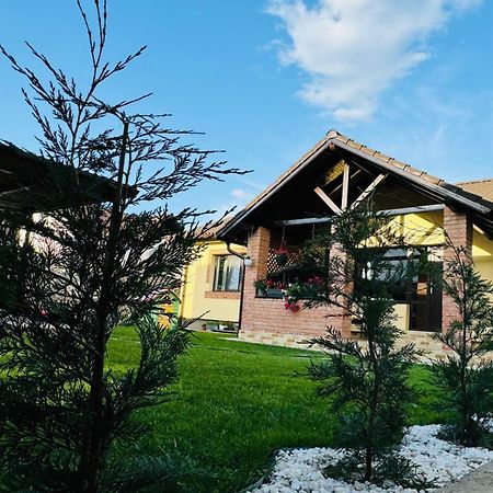 Casa Lucas Villa Curtea de Argeş Exterior foto